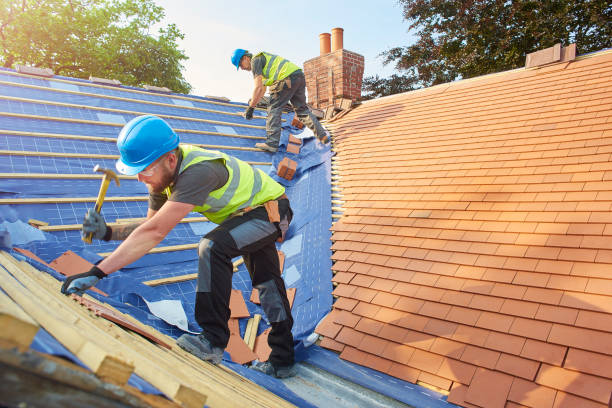 Best Roof Moss and Algae Removal  in Sisco Heights, WA